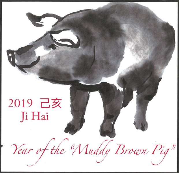 2019 anno del maiale